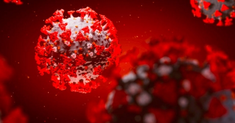 В Подмосковье ввели ограничения для жителей старше 65 лет и людей с хроническими заболеваниями