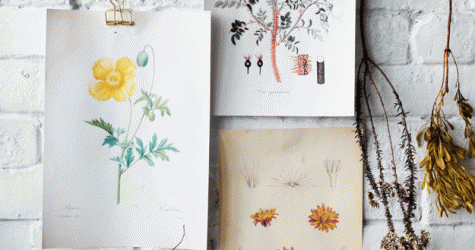 Чем отличается подход миллениалов к рукоделию и ремеслам