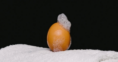 Яйцо из инстаграма, побившее рекорд Кайли Дженнер, рассказало о своей миссии