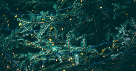 Сергей Собянин продлил зимние каникулы до 17 января