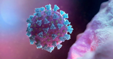 В ЮАР нашли новый тип коронавируса