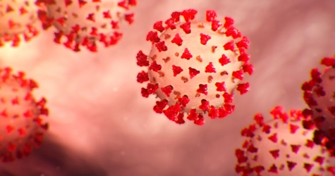 Китайские ученые назвали срок окончания пандемии коронавируса