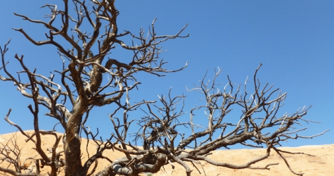 15 признаков токсичных отношений