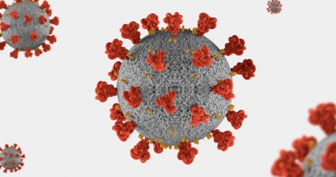 С 28 декабря привиться от COVID-19 смогут пожилые москвичи