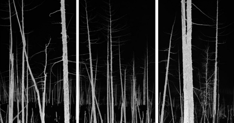 Аукцион шедевров, закопанных на необитаемом острове