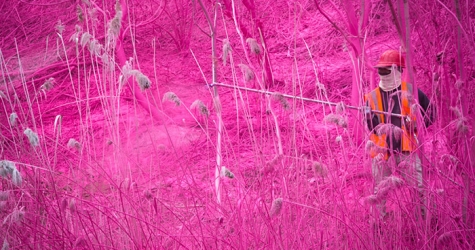 Буйство цвета за окном поезда: проект Катарины Гроссе