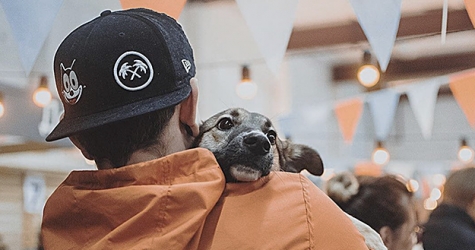 На «Хлебозаводе» пройдет выставка кошек и собак из приютов