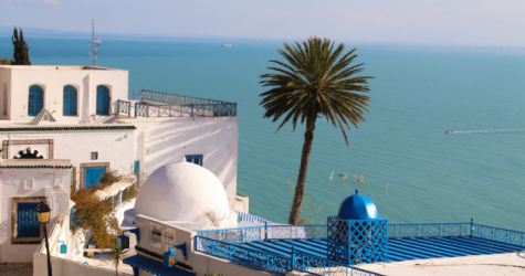 Тунис возобновит прямое авиасообщение с Россией