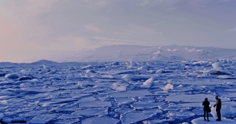 Twitter запретила отрицающую изменение климата рекламу