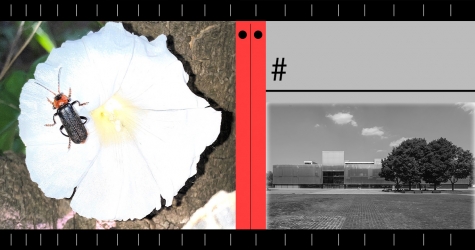 «В кросс-жанровости — будущее искусства»: продюсер и саунд-артисты о новом сезоне радио Музея «Гараж»