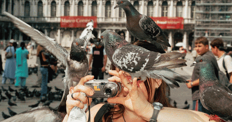 «Время брутализма» и «Я — Мартин Парр»: что смотреть на Beat Weekend 2025. Выбор BURO.