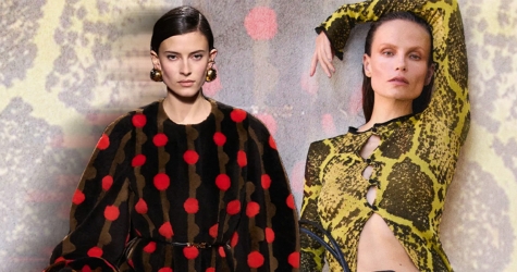 Горох, виши и питон: главные принты 2025-2026