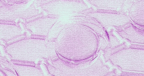 Коллаген и пищевые добавки: в каких продуктах искать источник белка и как он усваивается