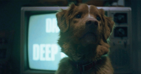 Больше, чем страх: пять умных и тонких хорроров, вышедших в 2025 году