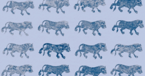 Две площадки и 87 галерей. Ярмарка Art Basel Qatar глазами Анастасии Постригай