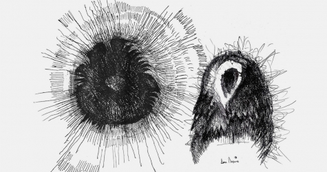 Художники рисуют для BURO.: Даня Пирогов — о страхе перед природными силами