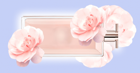 Космические тени, икорный концентрат и другие новинки недели