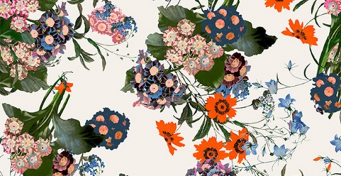Следующая коллаборация H&M будет c Erdem