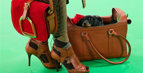 The Dog Walk: проект марки Ralph Lauren