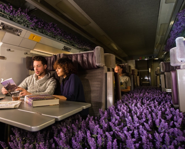 Лавандовые поля в поезде Eurostar по случаю запуска нового направления Лавандовые поля в поезде Eurostar по случаю запуска нового направления