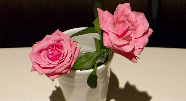 Нобуеси Араки выпустил визуальный дневник