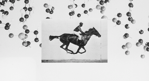 Ученые записали мультфильм в ДНК бактерии