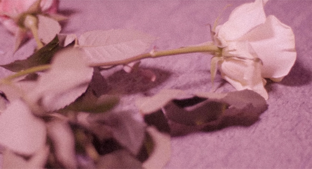 Вирджил Абло снял клип