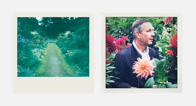 Дрис ван Нотен сфотографировал помидоры и терьера Гарри для The New York Times