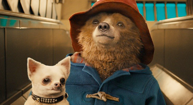 Министра Мединского обвинили в переносе премьеры «Паддингтона»