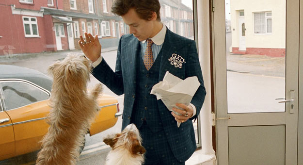 Гарри Стайлс позирует с щенками и домашней птицей в новой кампании Gucci