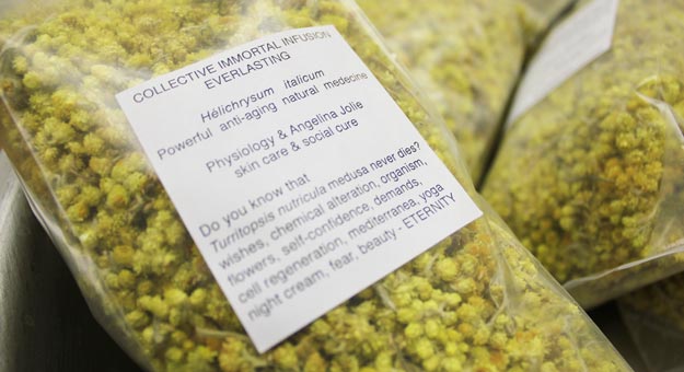 В ЦУМе пройдет образовательная программа о современном искусстве