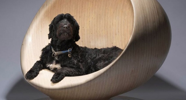 Бюро Захи Хадид и другие известные студии сделали будки для собак