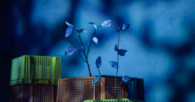 Мастерская Брусникина и театр «Практика» покажут совместный спектакль