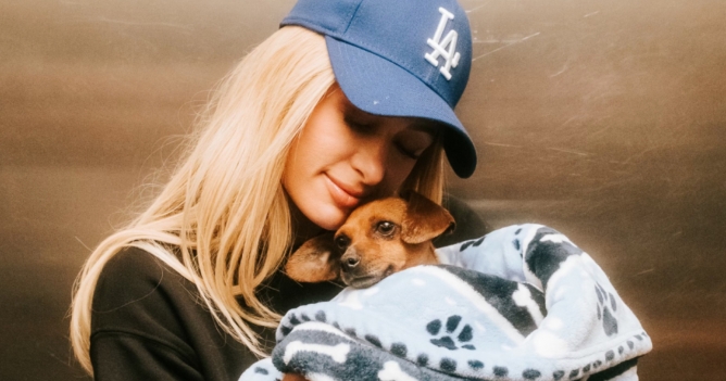 Пэрис Хилтон собрала 800 000 долларов на ликвидацию пожаров в Лос-Анджелесе