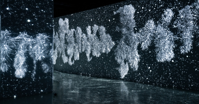 В арт-пространстве Luminar открылась иммерсивная выставка