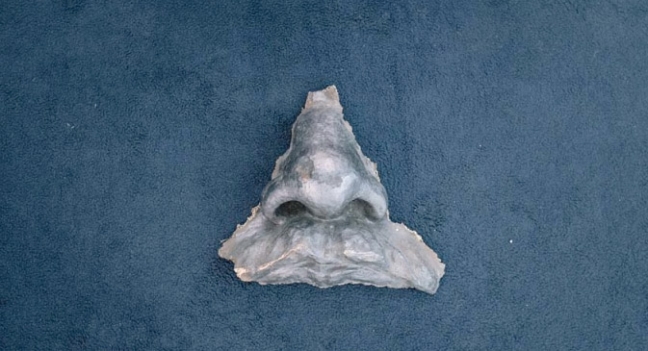 В Центре фотографии имени братьев Люмьер открываются выставки о Ленине и фотодокументалистике