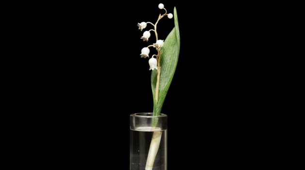 Рерих, Ге и предметы Фаберже на русских торгах Bonhams