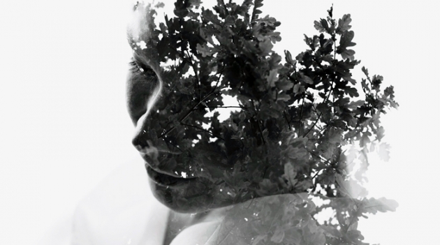 \"Симбиозис\": первая выставка Кристофера Реландера в Москве