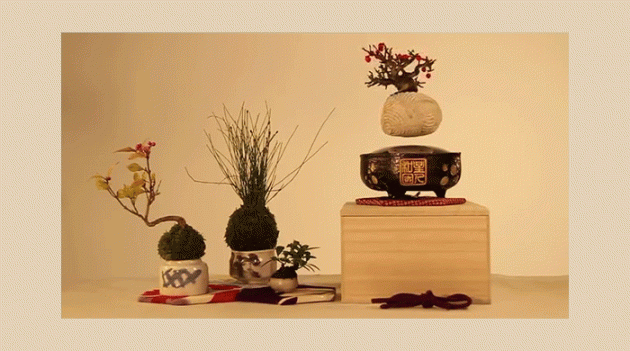 На Kickstarter появился проект летающего бонсая