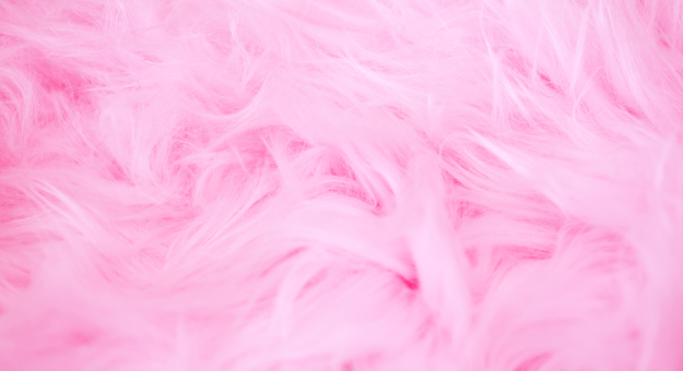 Власти Лос-Анджелеса запретят продажу натурального меха в городе