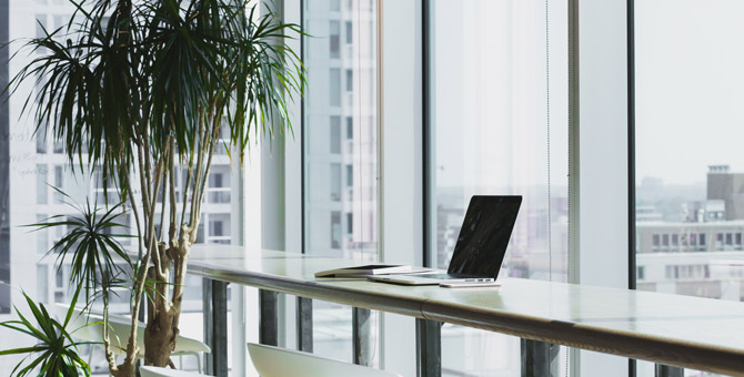 Роскомнадзор не обнаружил ссылок на RuTracker и «Либрусек» в поисковике «Яндекса»