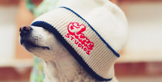 Acne Studios выпустил капсулу, вдохновленную калифорнийскими вывесками