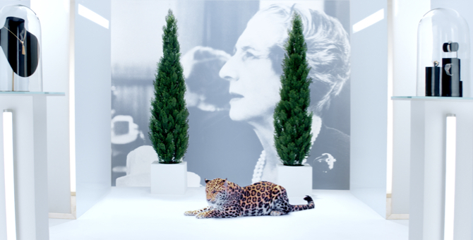 Cartier запустил диджитал-сериал об источниках вдохновения и истории дома