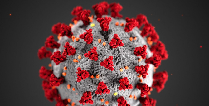 Модель коронавируса претендует на звание лучшего дизайн-проекта года