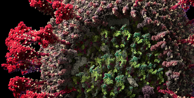 Антитела к COVID-19 обнаружили у 14% россиян, сделавших тест в «Инвитро»