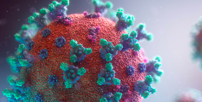 В Чехии обнаружен еще один штамм коронавируса