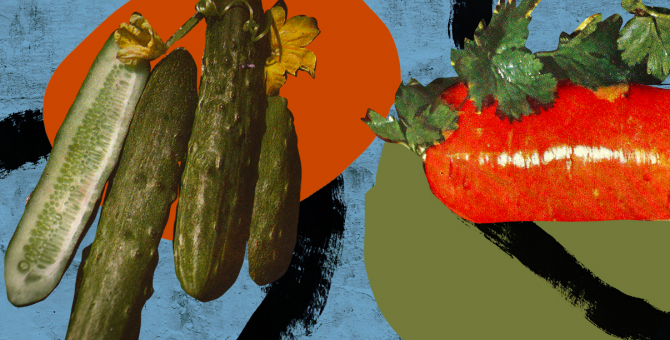 Даниловский рынок и галерея Sample представили вторую часть совместного арт-проекта