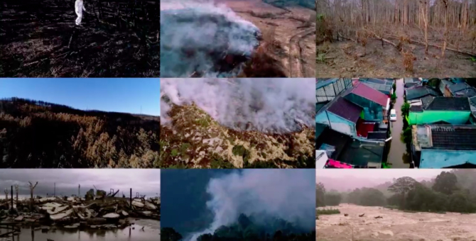 Greenpeace выпустил документальный сериал о климатическом кризисе