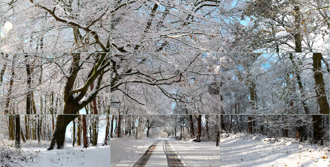 На Новой Голландии покажут видеоработу Дэвида Хокни