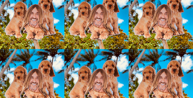 Игги Поп посвятил оду своей умершей собаке